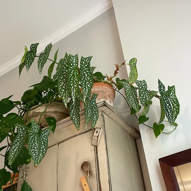 Post by lagom_brockport_ny