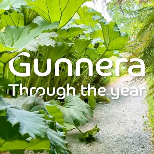 Post by trebahgardencornwall