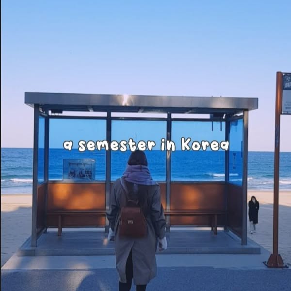 Post by koldoristudy