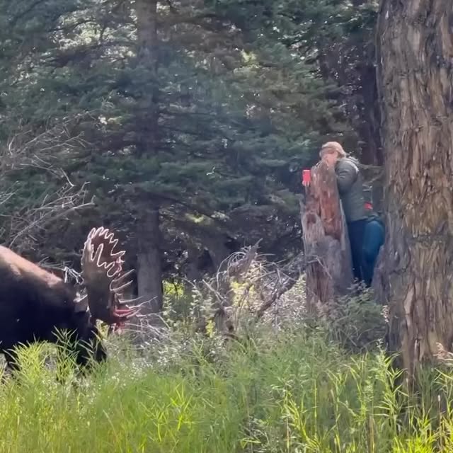 Post by touronsofyellowstone