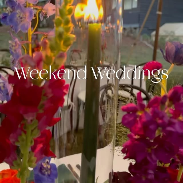 Post by thewoodhouselodge