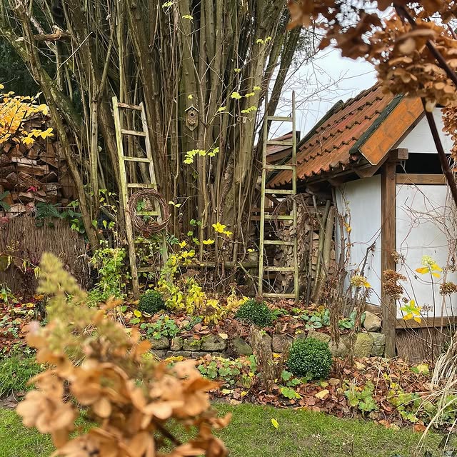 Post by ina_im_gruenen