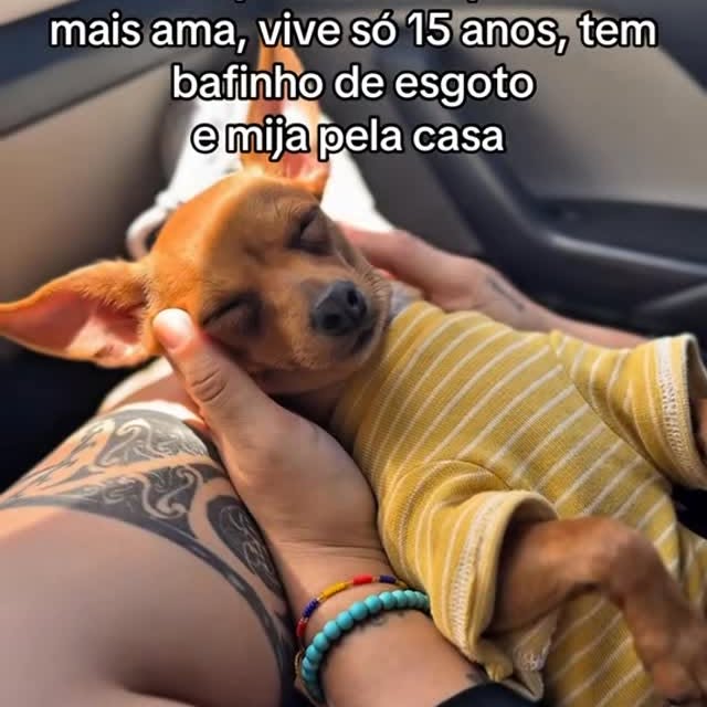 Post by aleatorios_dogs