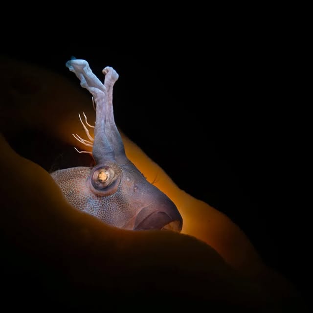 Post by huntingforparadise