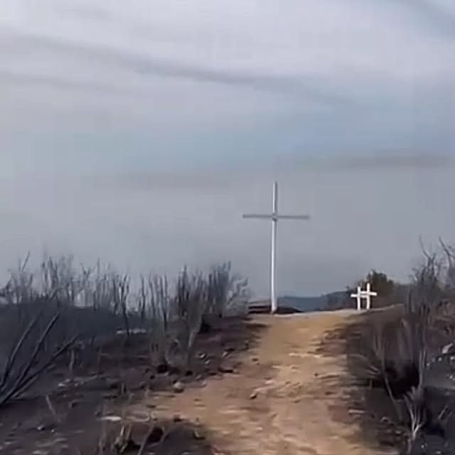 Post by caughtthefirebug