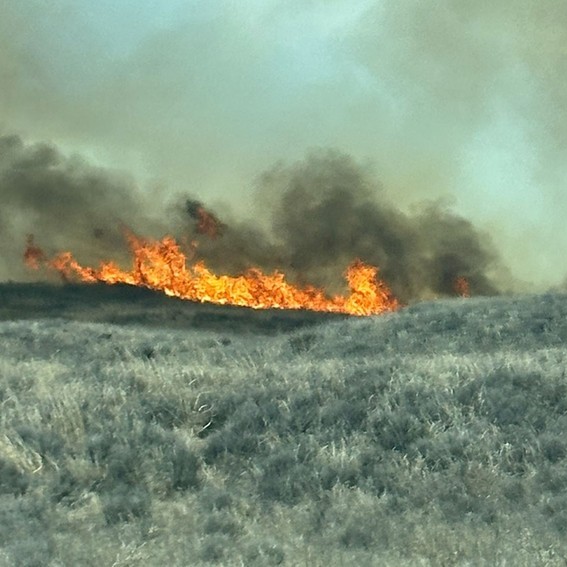 Post by stateforesters