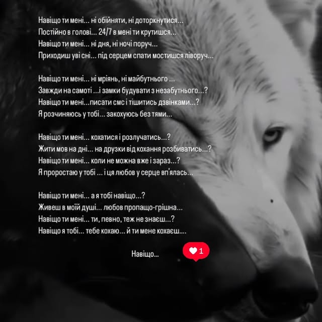 Post by book_lines11