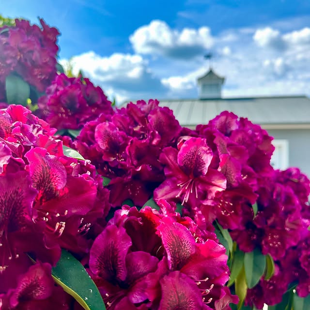 Post by mynewengland_home_de