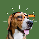 Hilarious Dog’s Planet 's profile picture