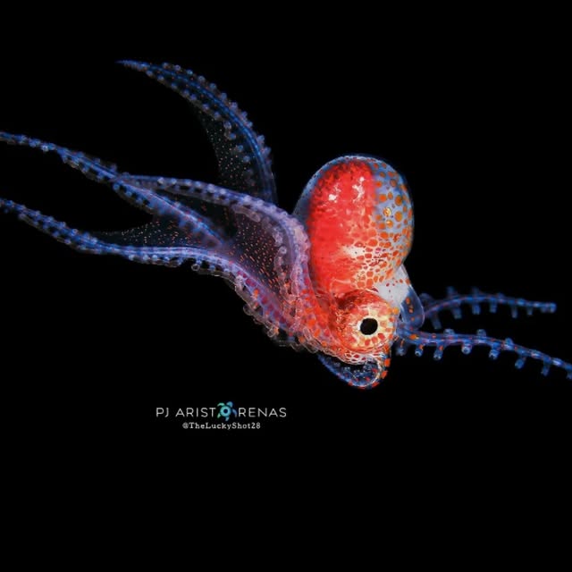 Post by underthesea_perfection