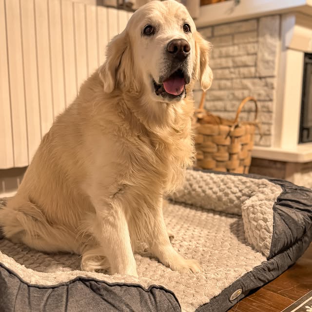 Post by valeria_cozyhome