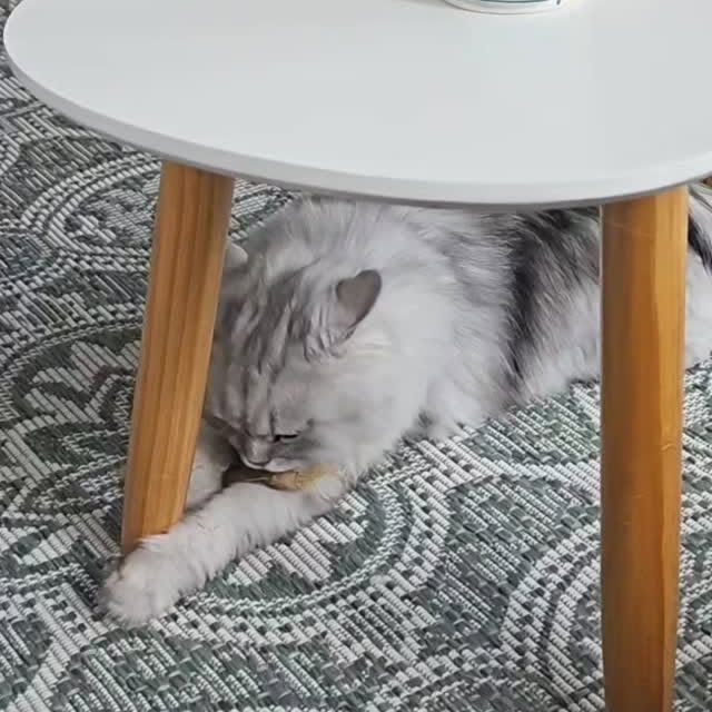 Post by ollie.frenkie