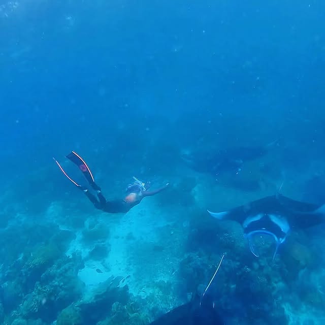 Post by riaricis1795