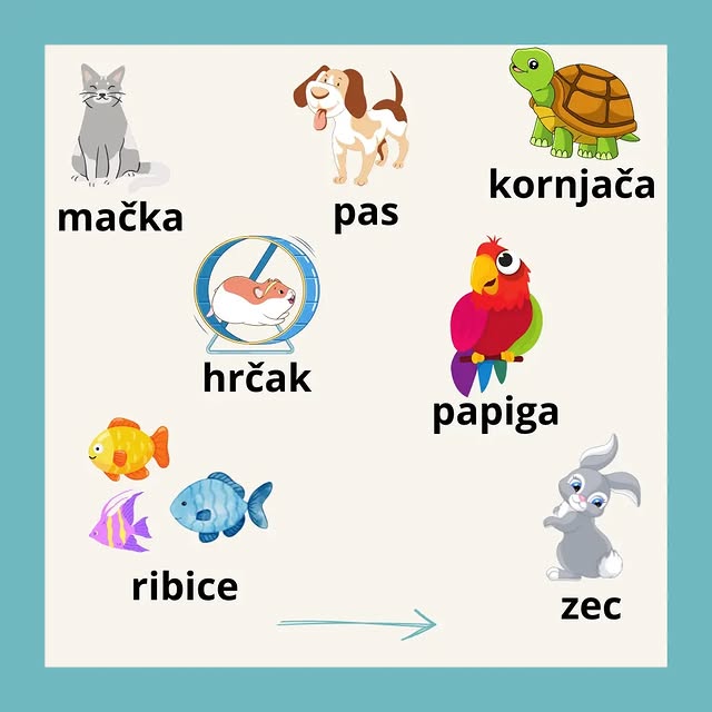 Post by learncroatianeasy