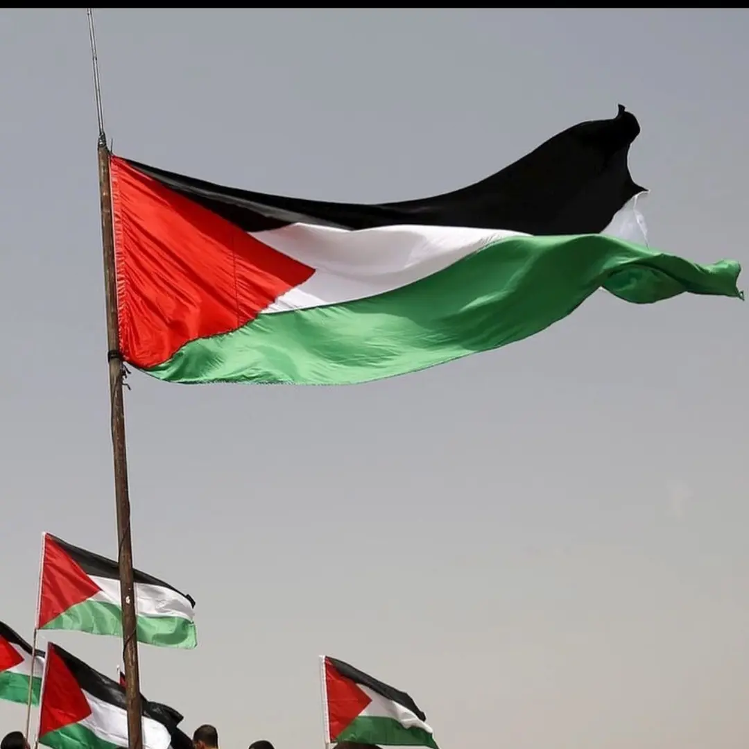 Ibrahim Chicho's profile picture