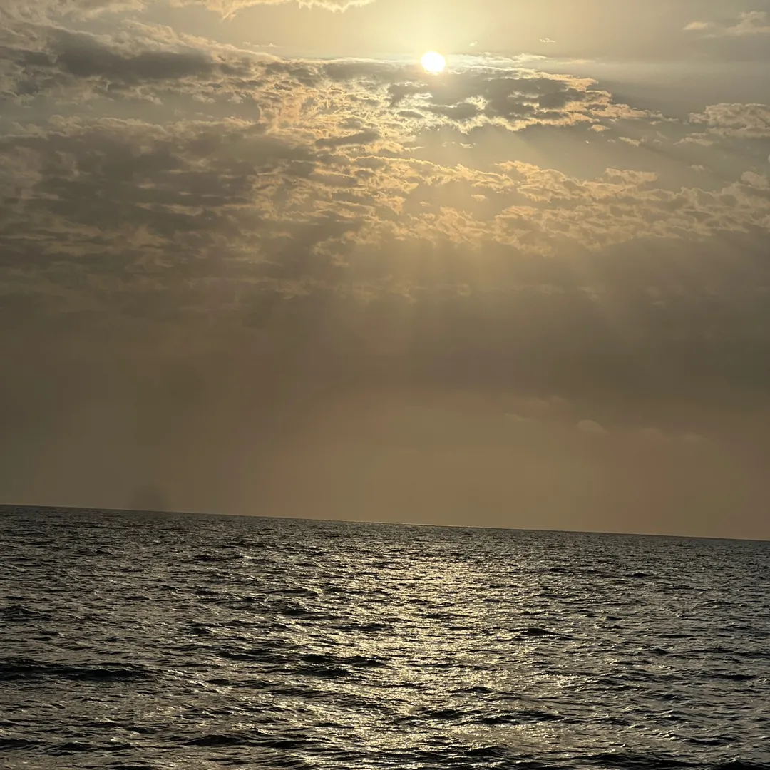 Sana Atif's profile picture