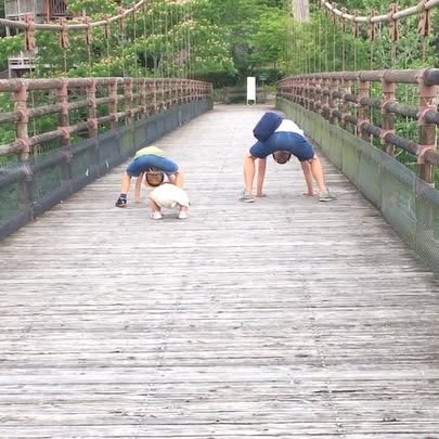 Post by kinoshitayuki_official