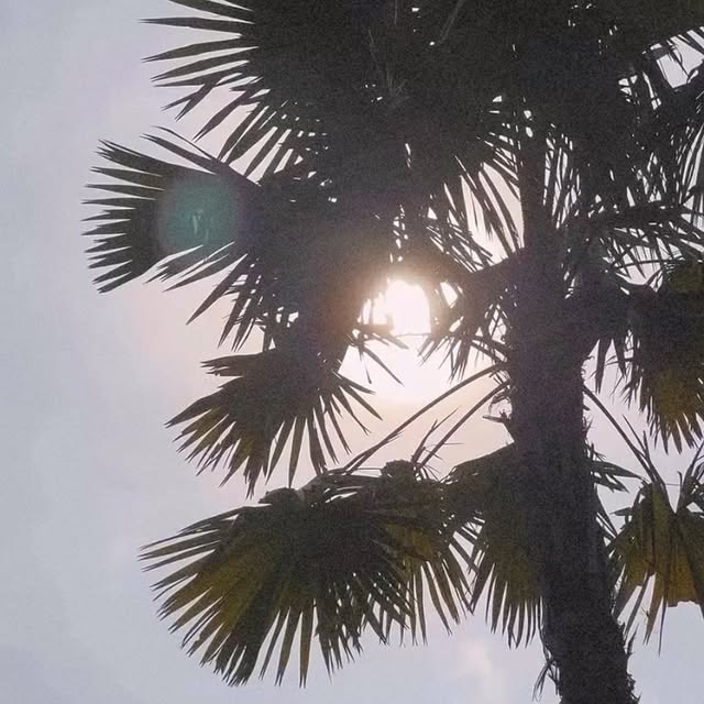 Post by destinationfitnessretreats