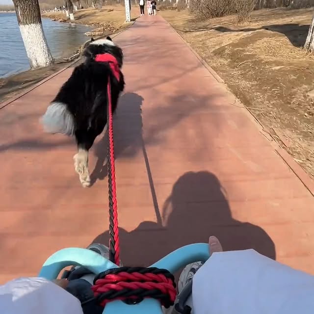 Post by landyliu0610