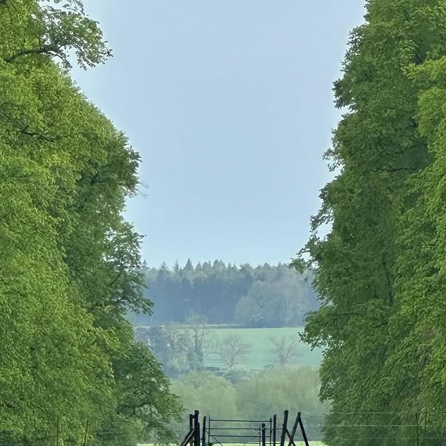 Post by roushamgardens