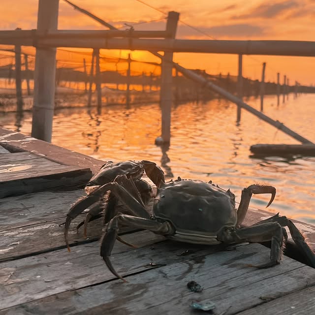 Post by imperial_tours