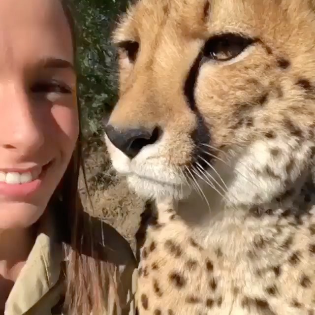 Post by rescuedogeso