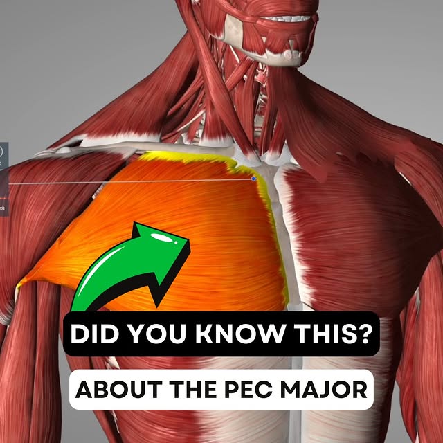 Post by omnibodyhealthcare