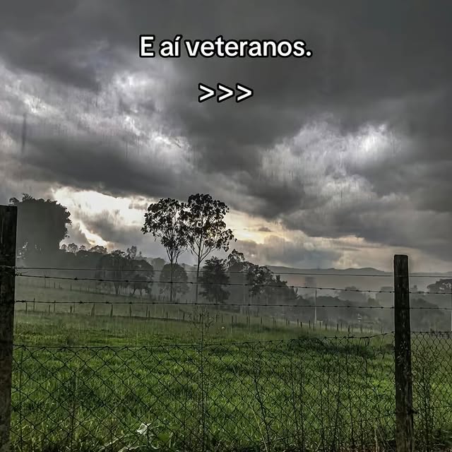 Post by ff.memes.brasil