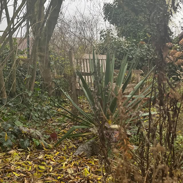 Post by ina_im_gruenen