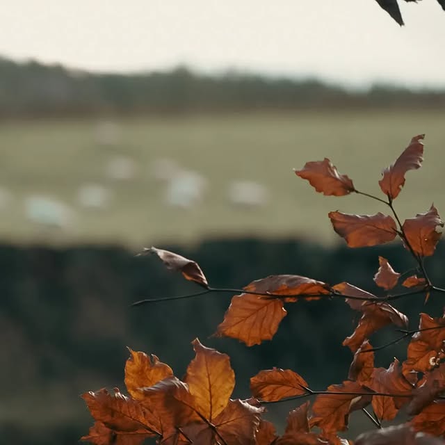 Post by our_country_life_photography