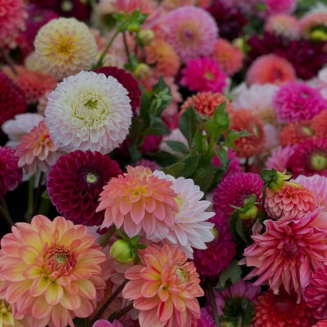 Post by bochnerfarms