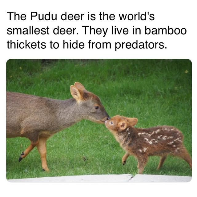 Post by jerryscience