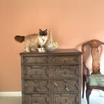 Lizzie Gordon The Oscar Collective's profile picture