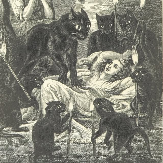 Post by smilingbeetroot