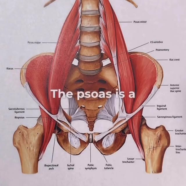 Post by medicalmassagesd