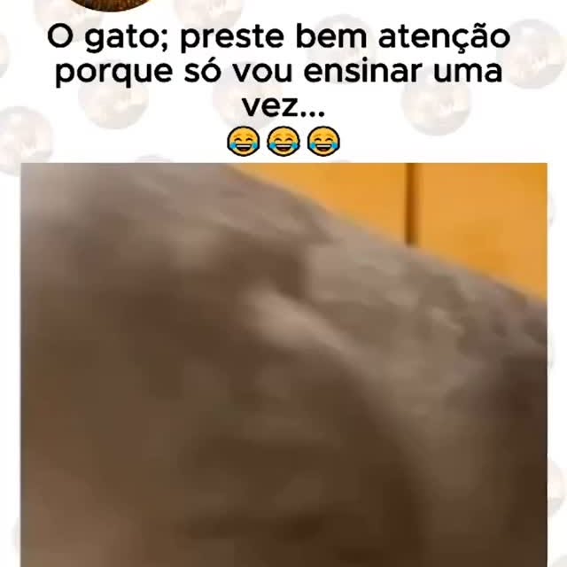 Post by paulatulipa_