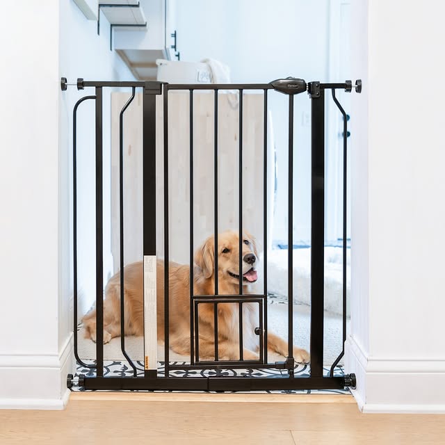 Post by carlsonpetproducts