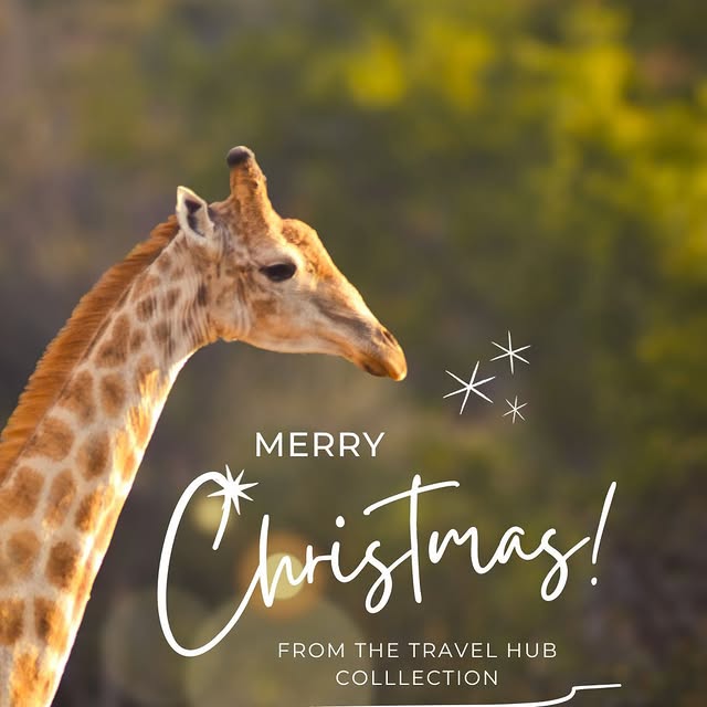 Post by _thetravelhubcollection