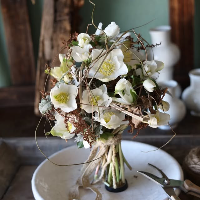 Post by brodkorbsophie