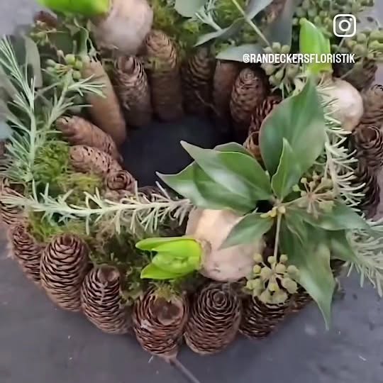 Post by randeckersfloristik