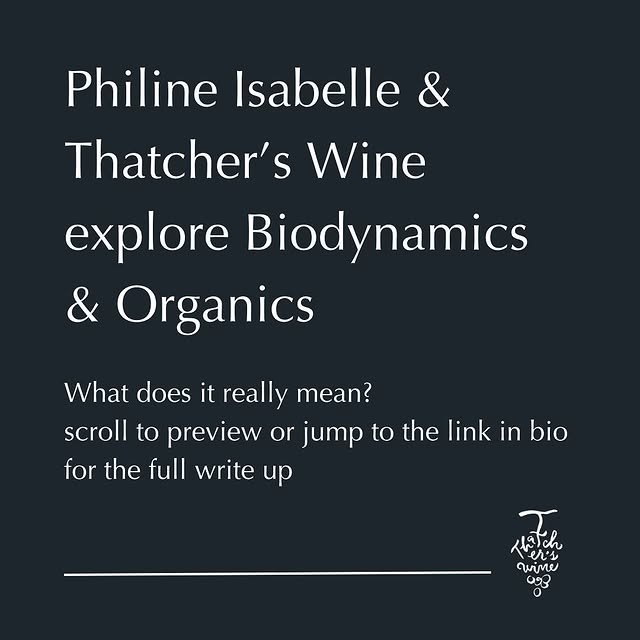 Post by thatcherswine