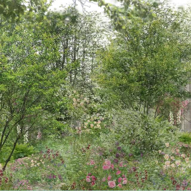 Post by jothompson.studio