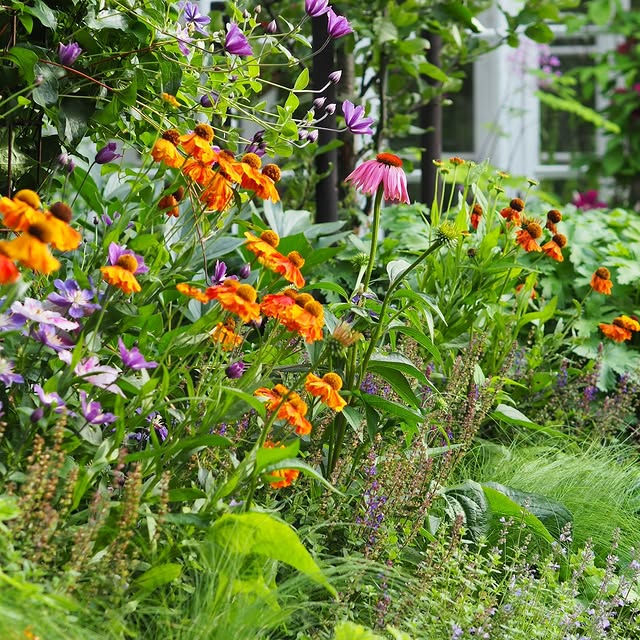 Post by villapelargonia