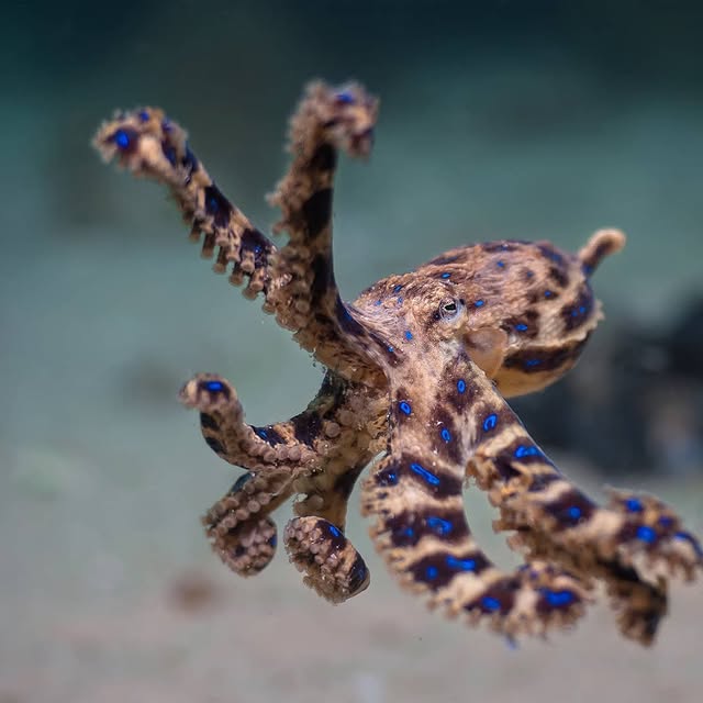 Post by sammyglenn_dives