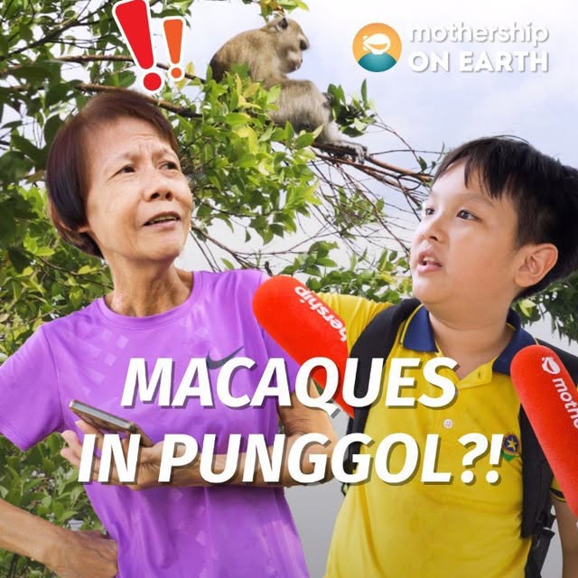 Post by mothershiponearth