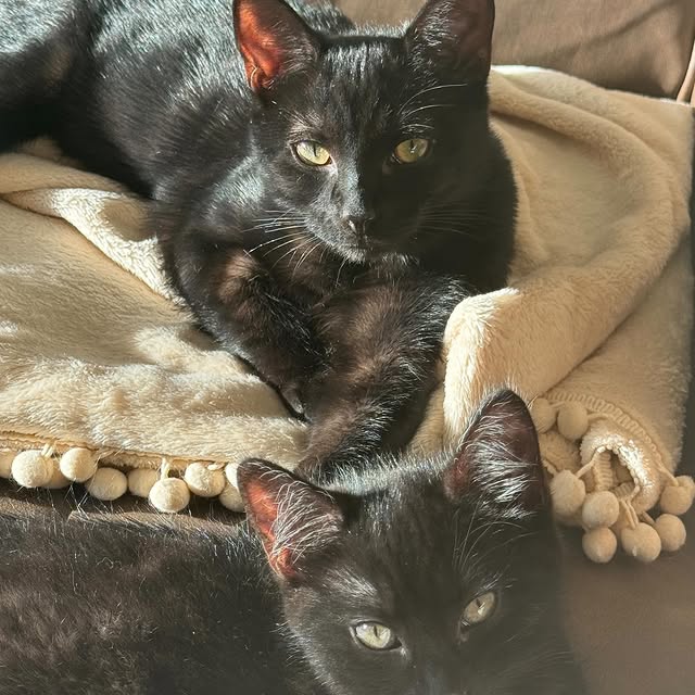 Post by cloudyhendry