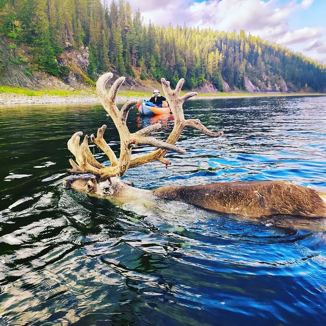 Post by abenteuersibirien