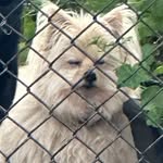 Clay's profile picture