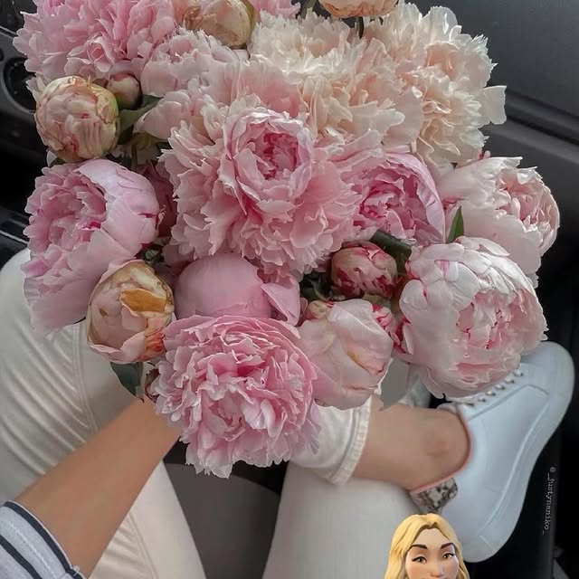 Post by flowersonly4you