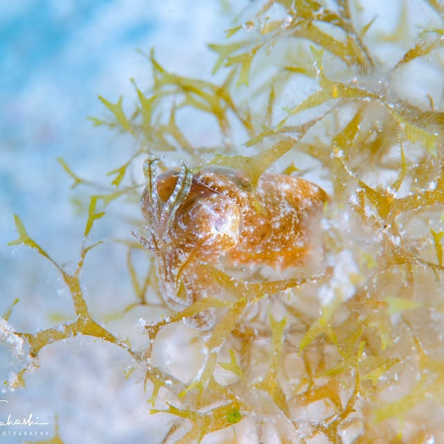 Post by reiko.alice.takahashi